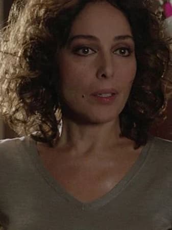 Zerrin Tekindor
