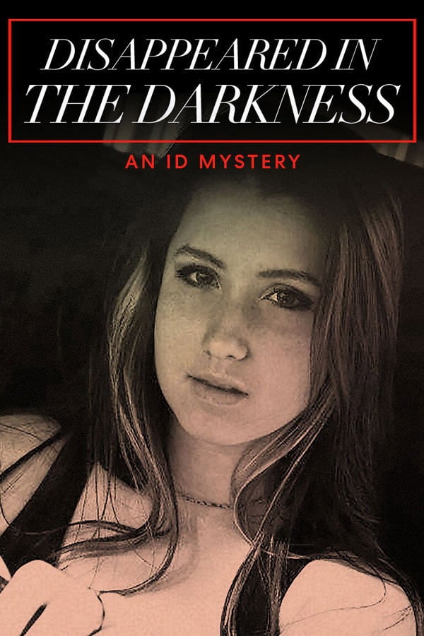 Disappeared in the Darkness: An ID Mystery - Cover