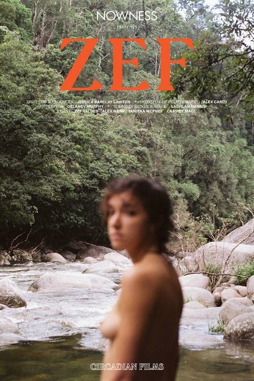 ZEF - Cover