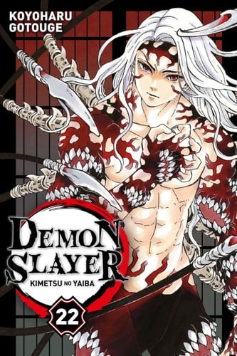 Demon Slayer T22 - Cover