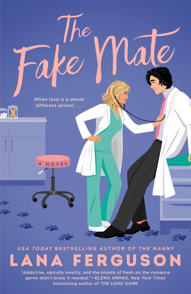 The Fake Mate - Cover
