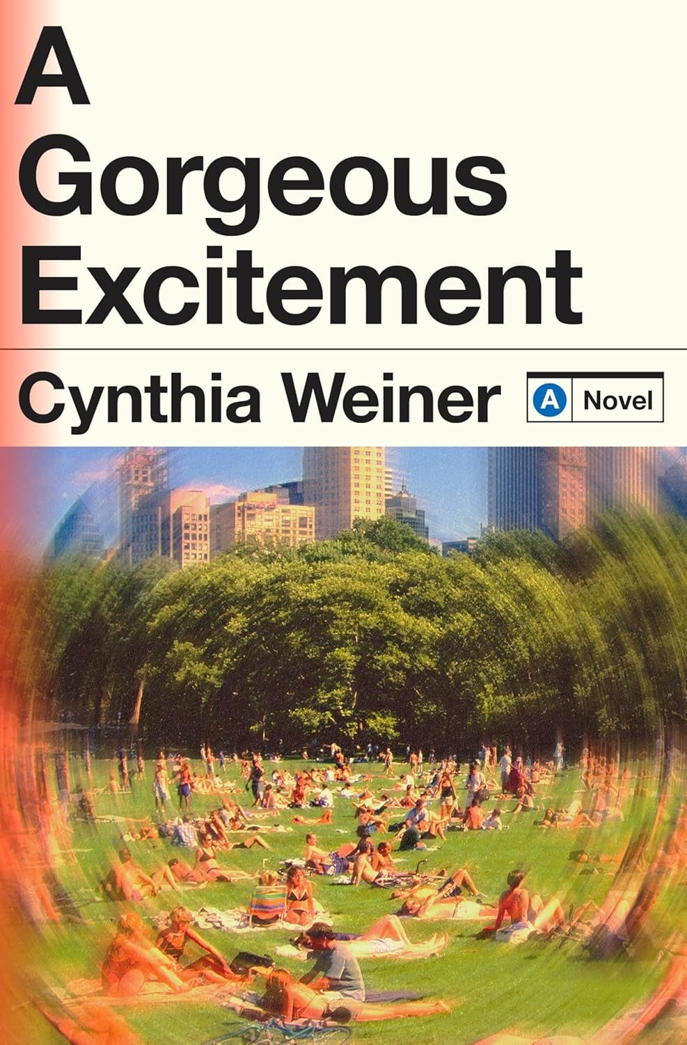 A Gorgeous Excitement - Cover