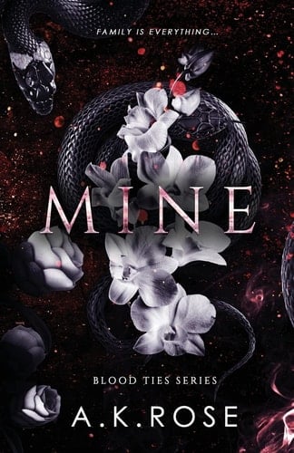 Mine - Cover
