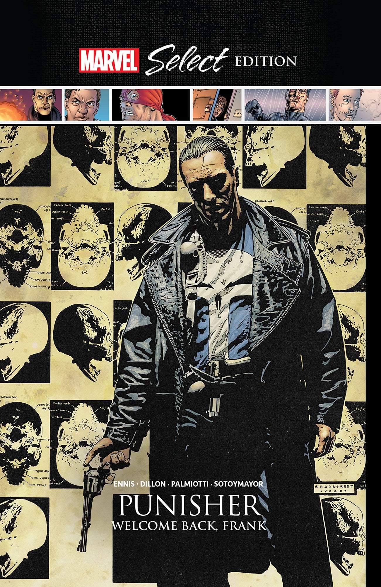 Punisher - Cover