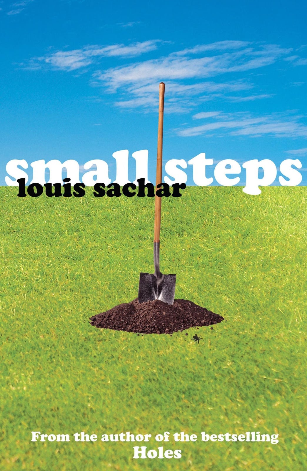 Small Steps - Cover