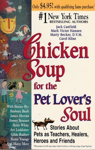 Chicken Soup for the Soul - Cover