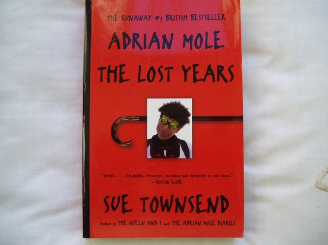 Adrian Mole, the Lost Years - Cover