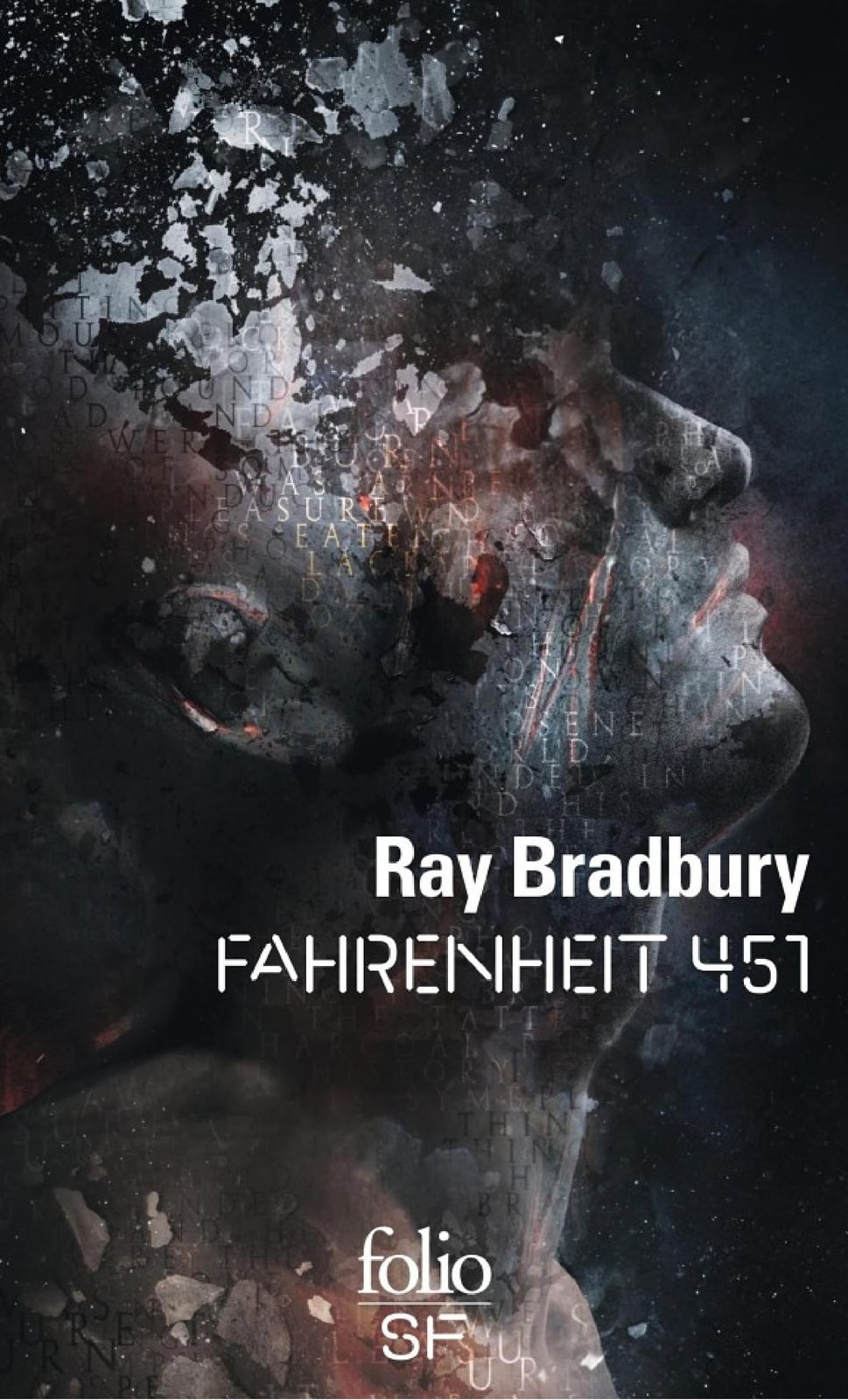 Fahrenheit 451 - Cover