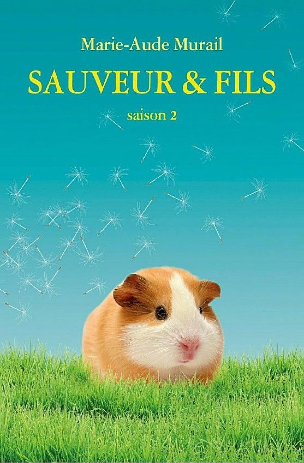 Sauveur & Fils, Saison 2 - Cover