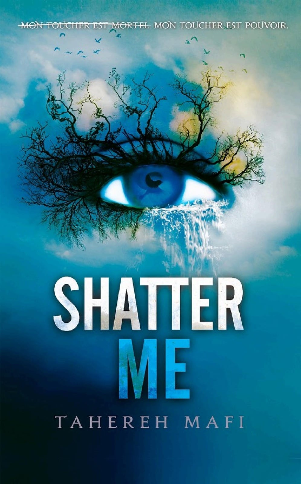 Shatter Me - Cover