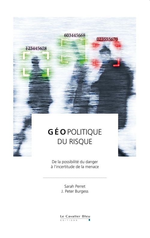 GEOPOLITIQUE DU RISQUE -EPUB - Cover