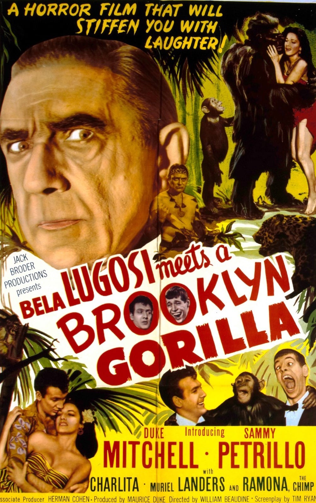 Bela Lugosi Meets a Brooklyn Gorilla - Cover