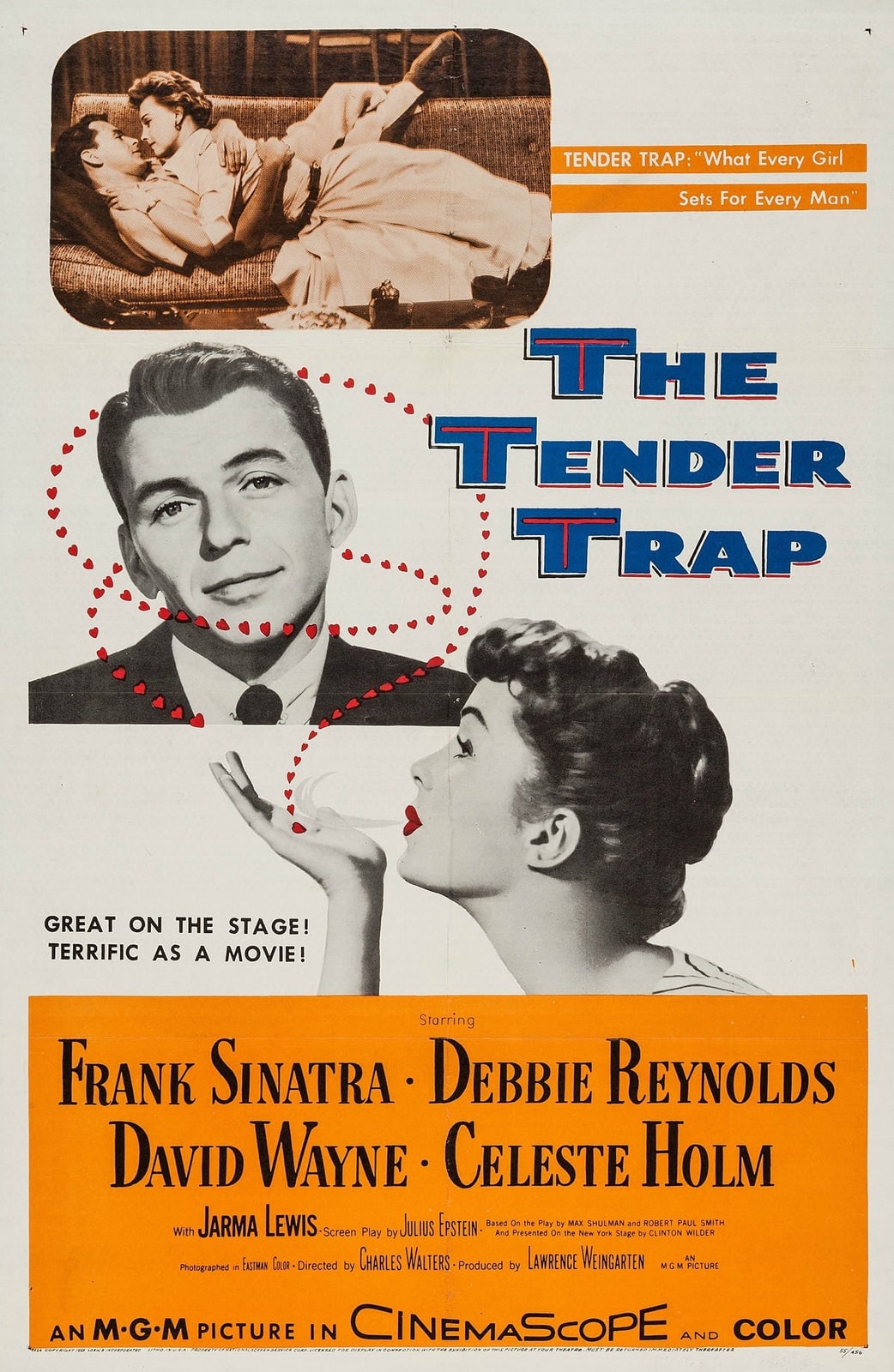 The Tender Trap - Cover