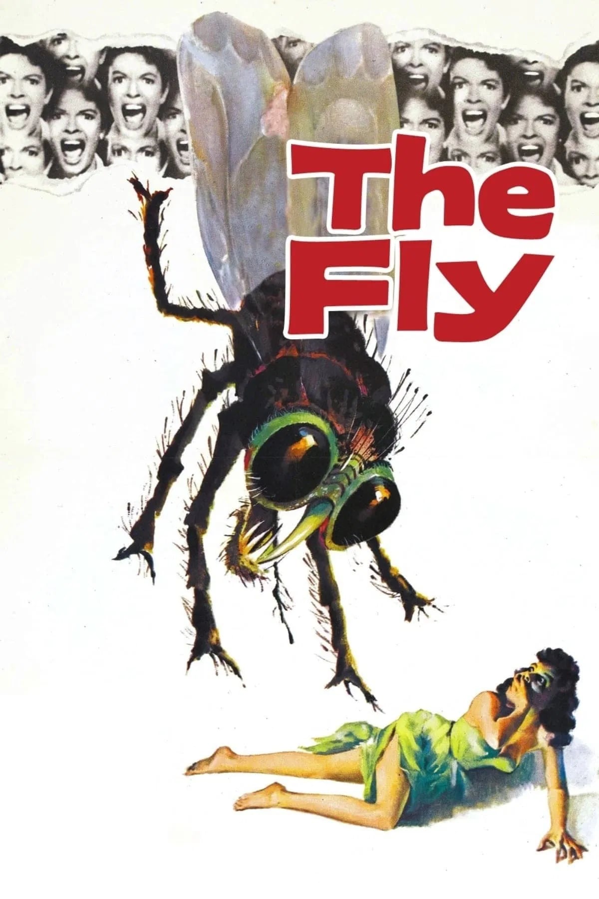 The Fly - Cover