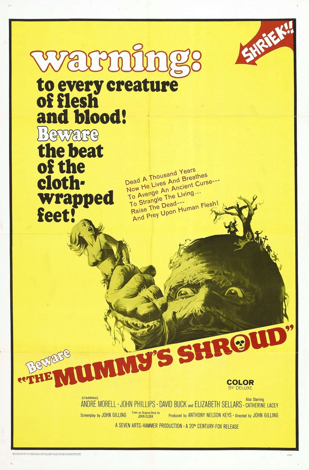 The Mummy's Shroud - Cover