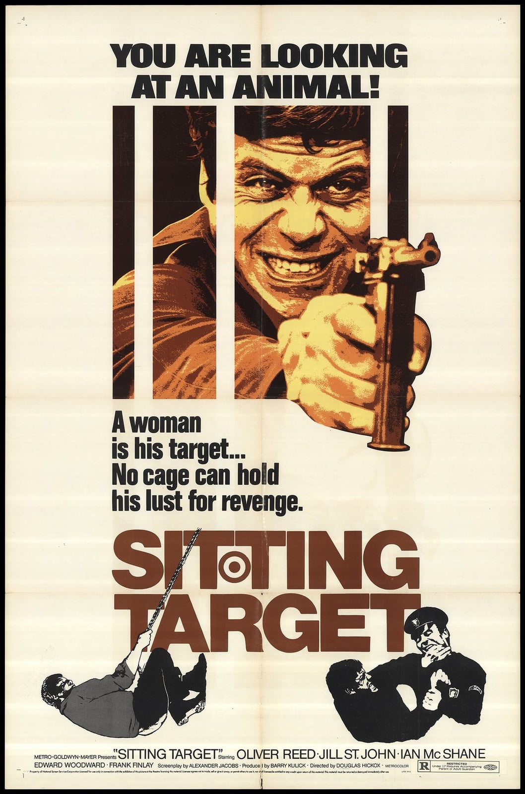 Sitting Target - Cover