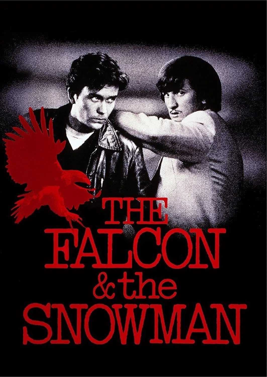 The Falcon and the Snowman - Cover