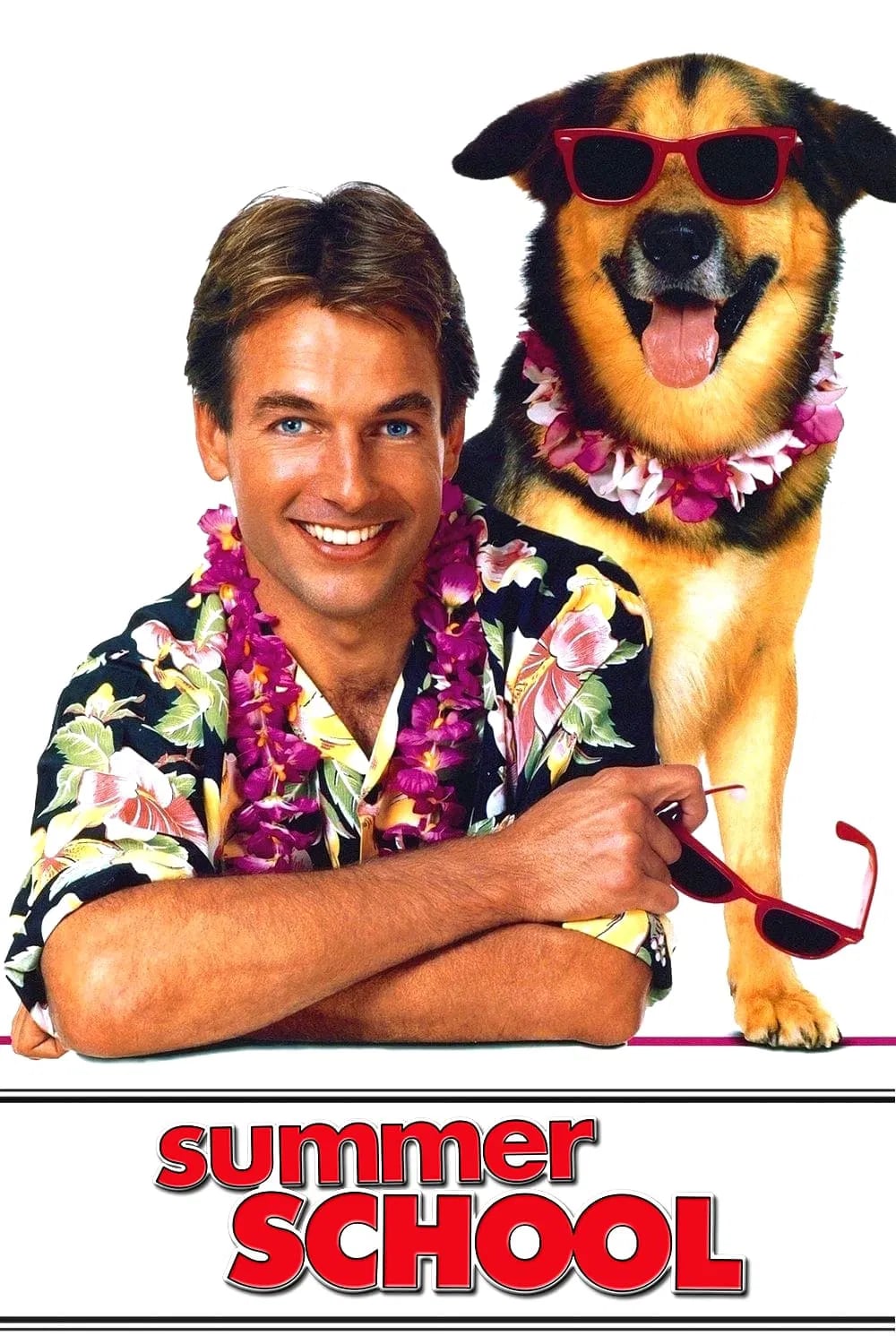 Summer School - Cover