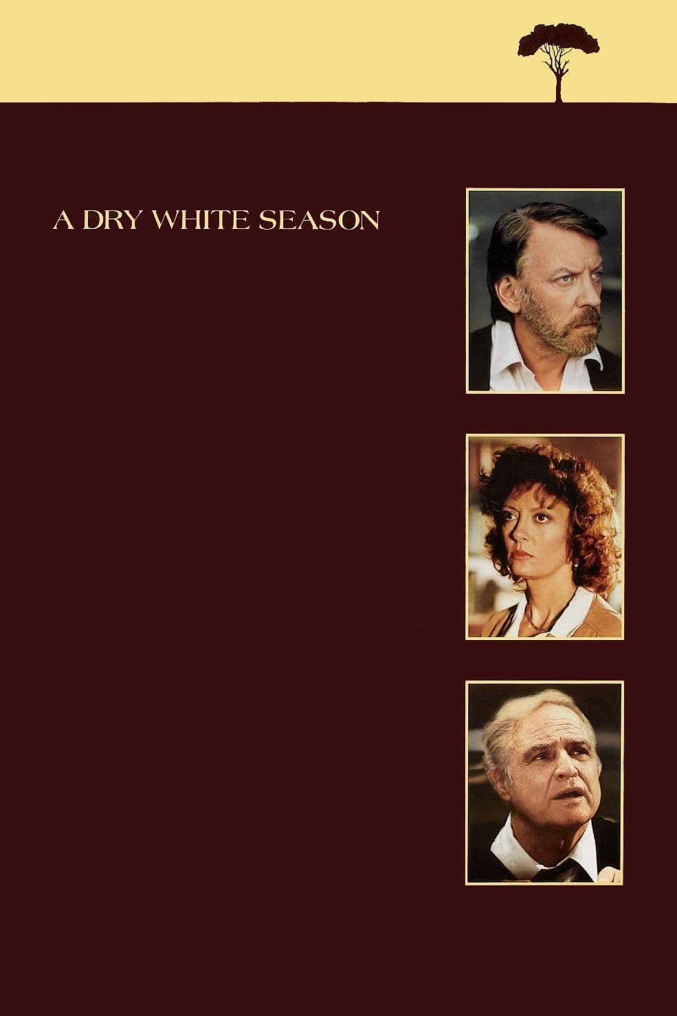 A Dry White Season - Cover