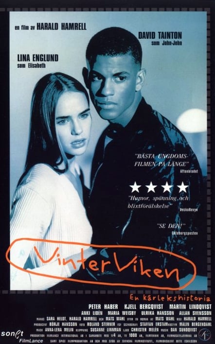 Vinterviken - Cover