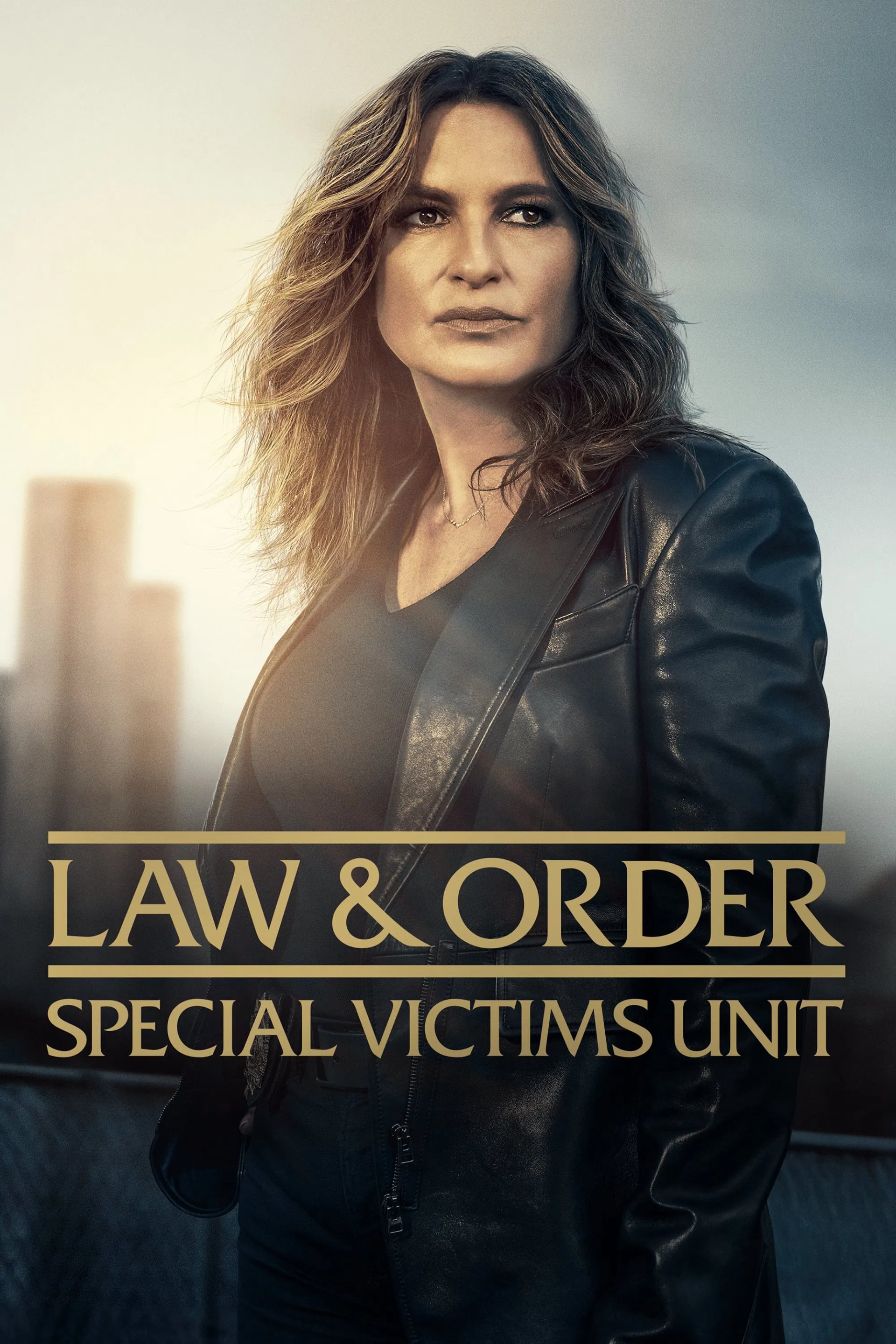Law & Order: Special Victims Unit - Cover