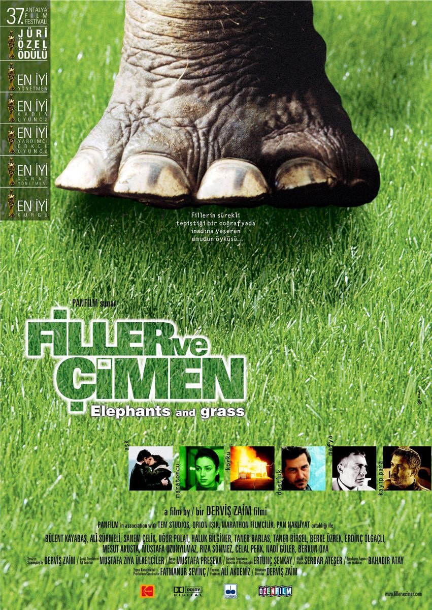 Filler ve Çimen - Cover
