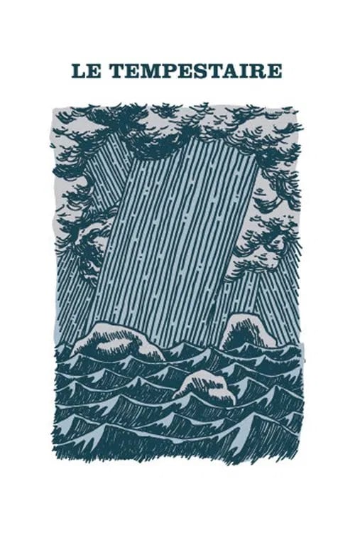 The Storm-Tamer - Cover