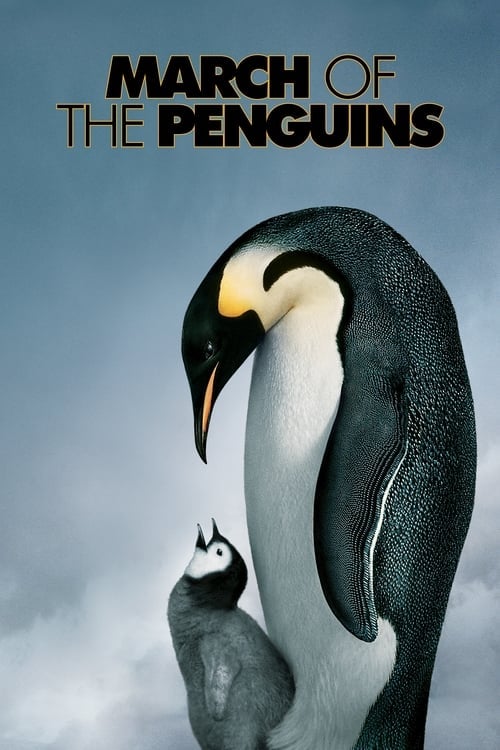 March of the Penguins - Cover