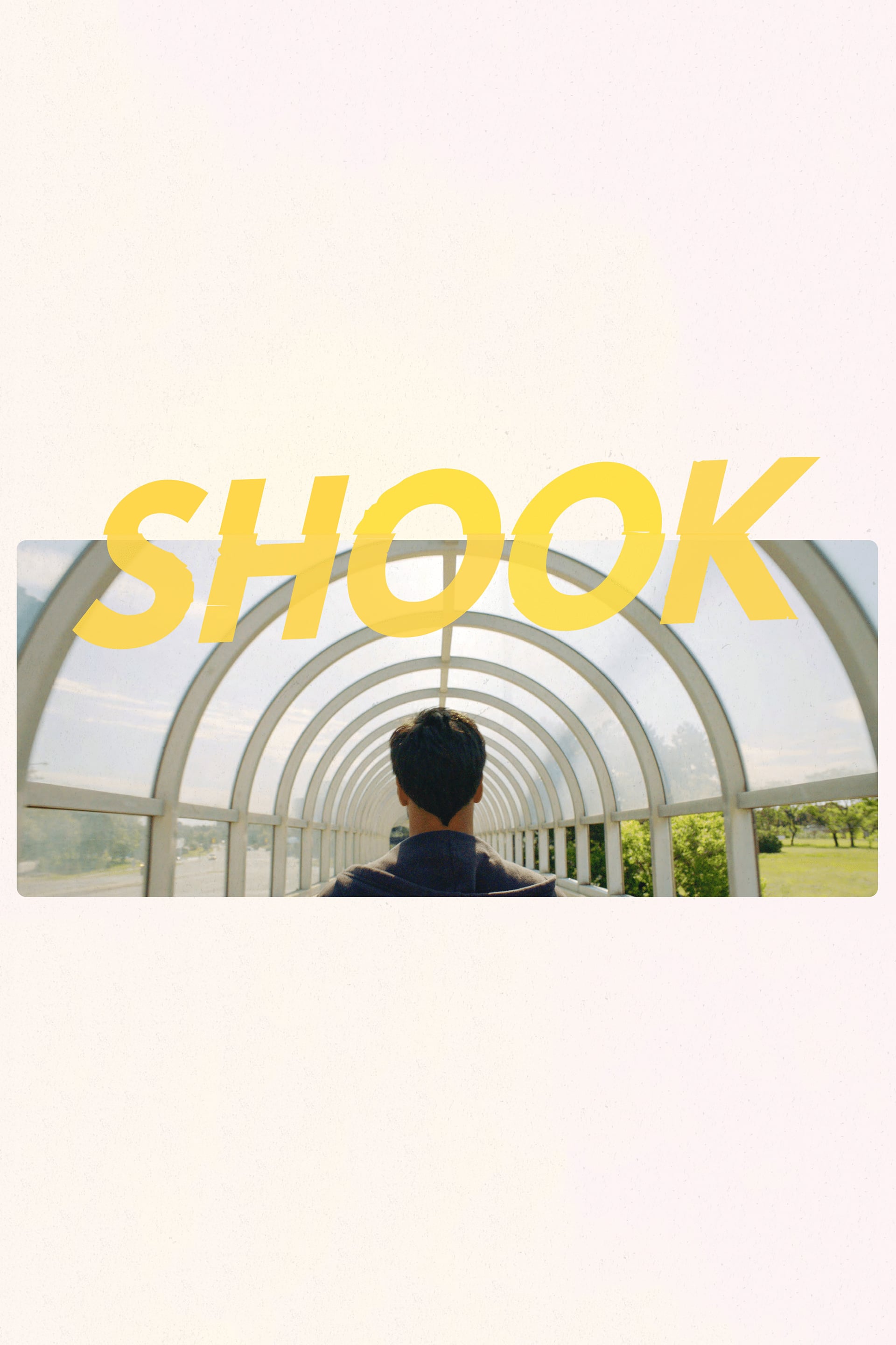 Shook - Cover