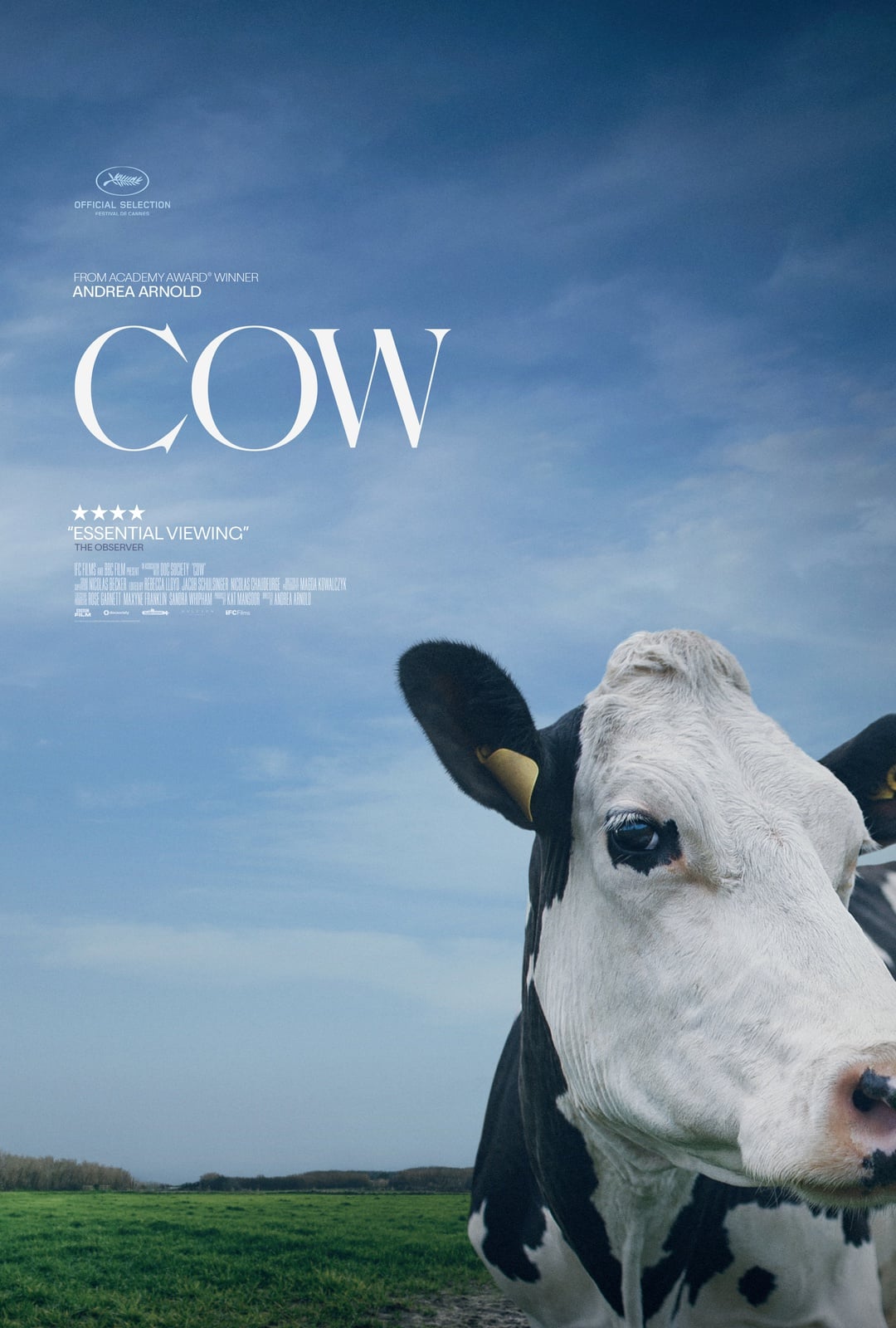 Cow - Cover