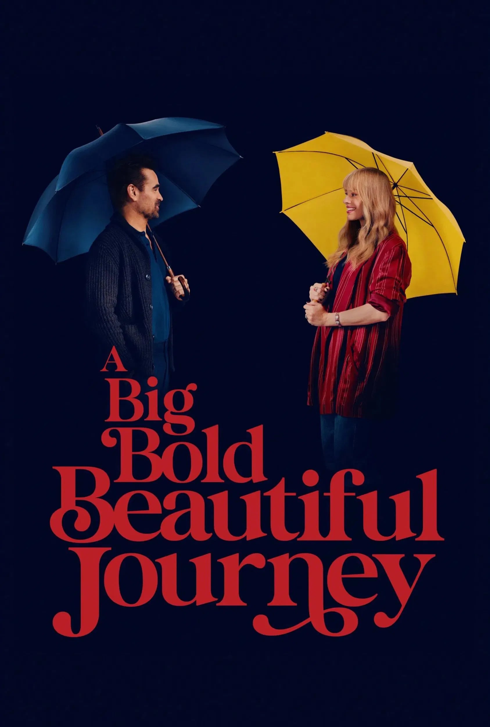 A Big Bold Beautiful Journey - Cover