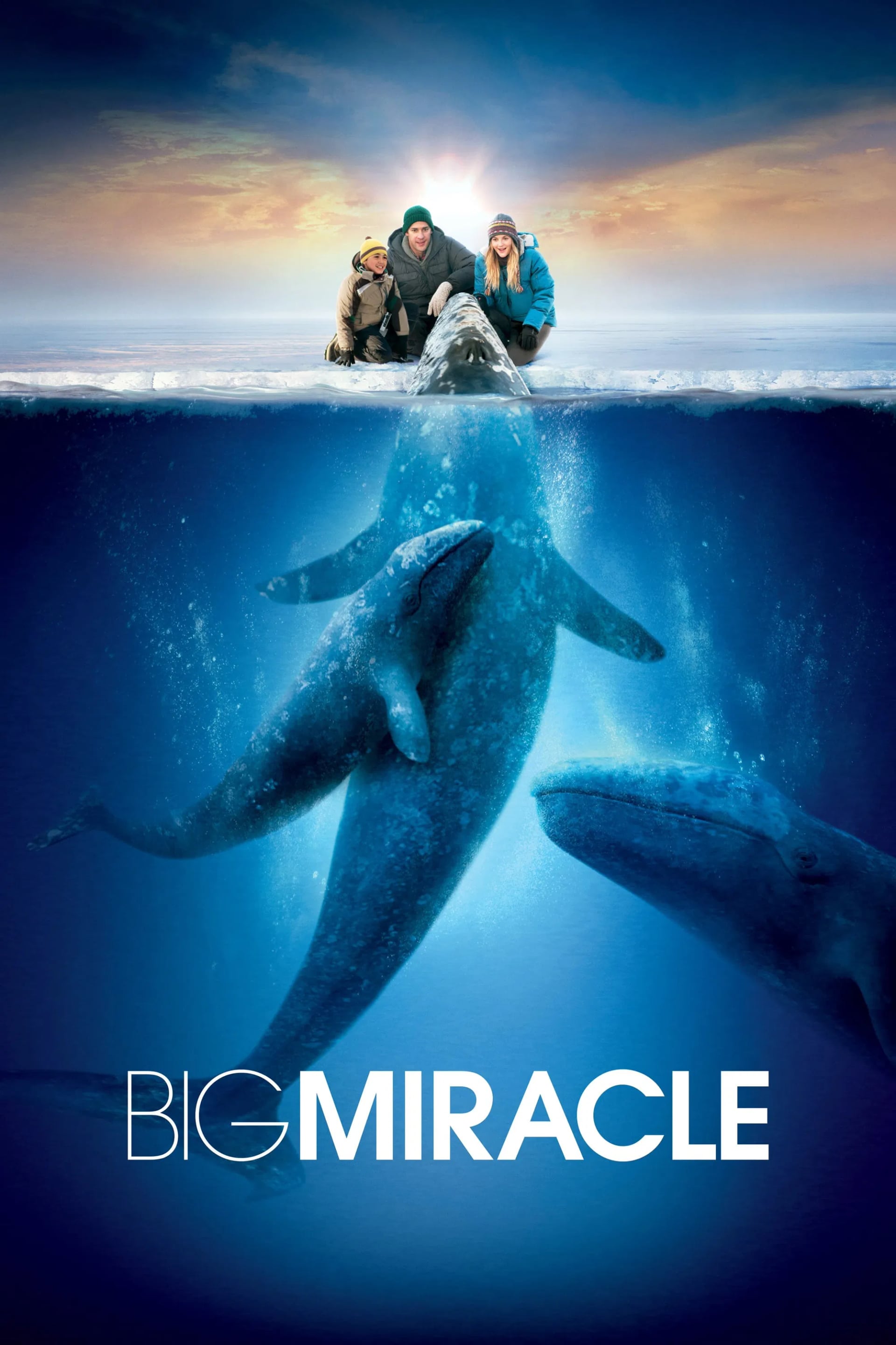 Big Miracle - Cover