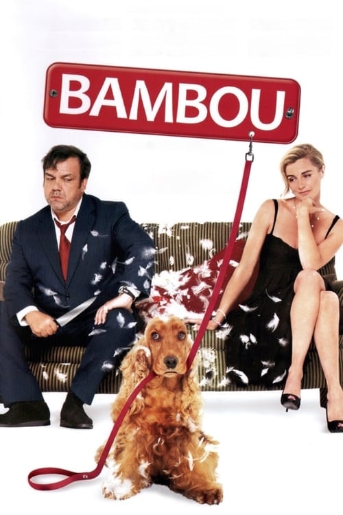 Bambou - Cover