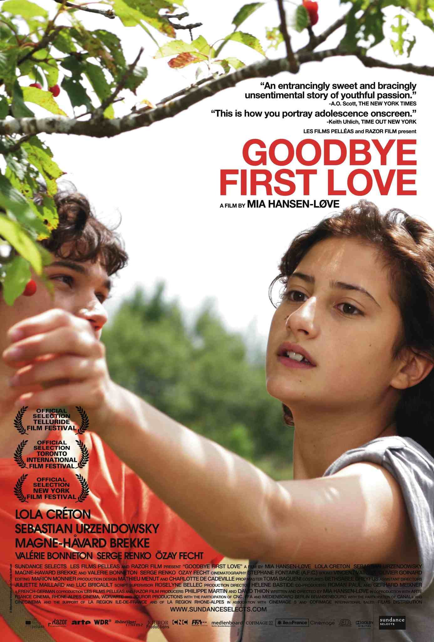 Goodbye First Love - Cover