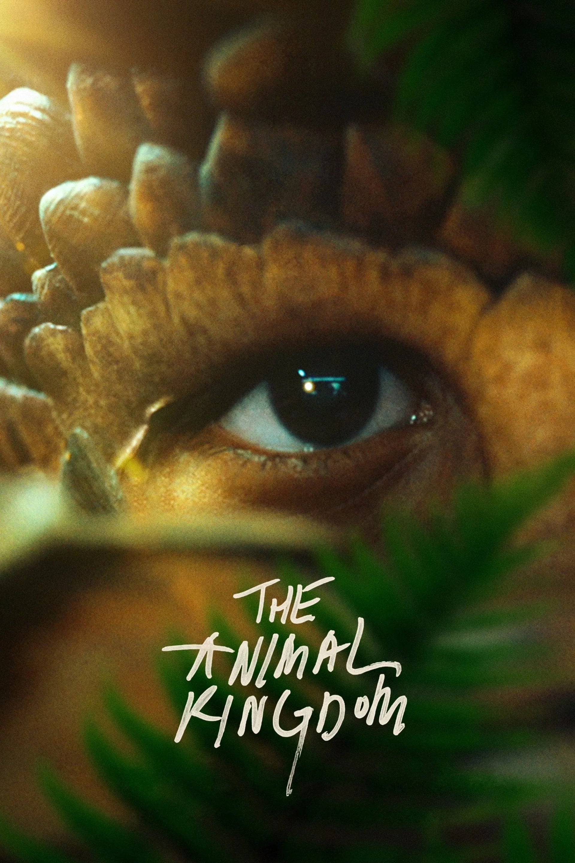 The Animal Kingdom - Cover