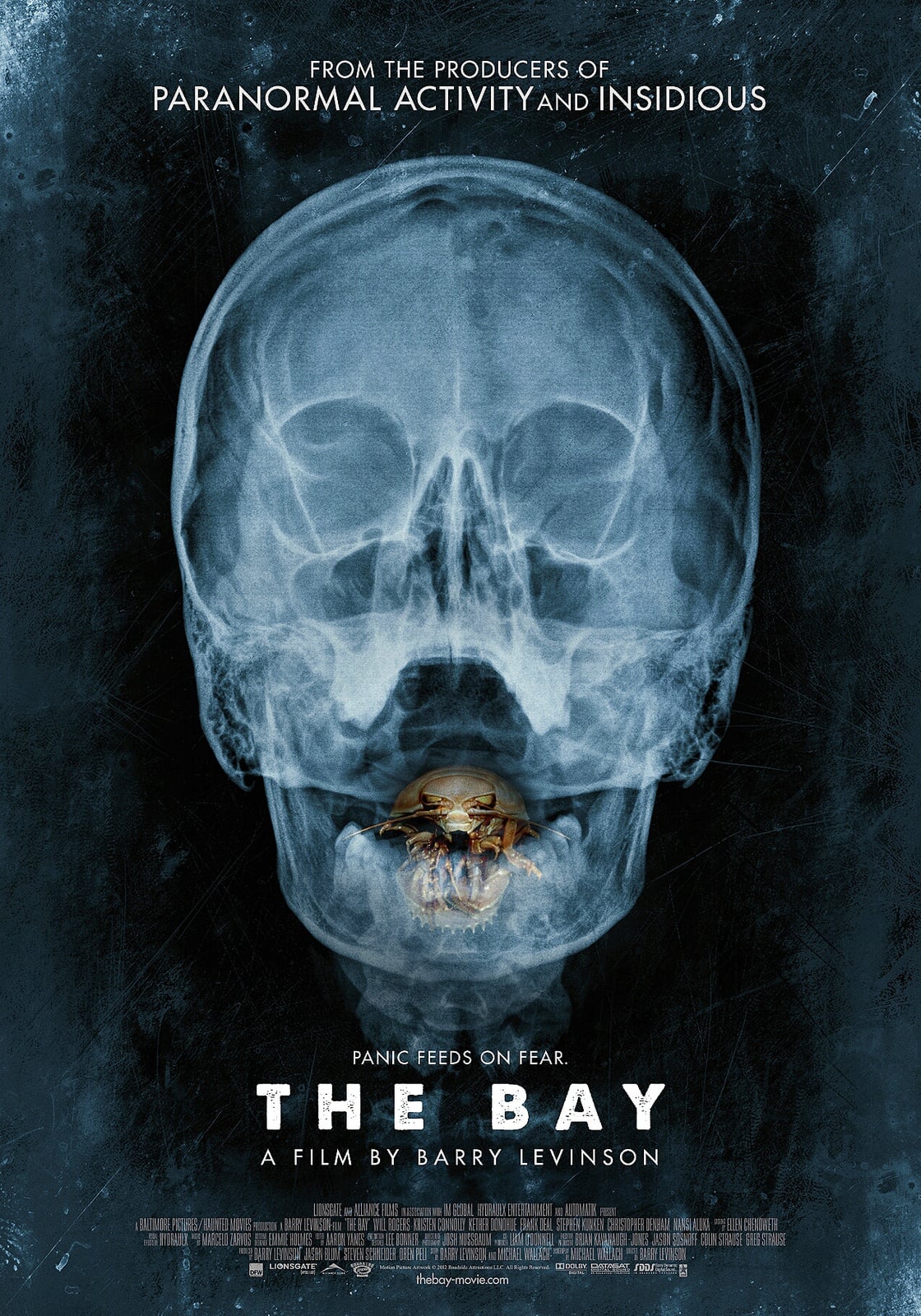The Bay - Cover