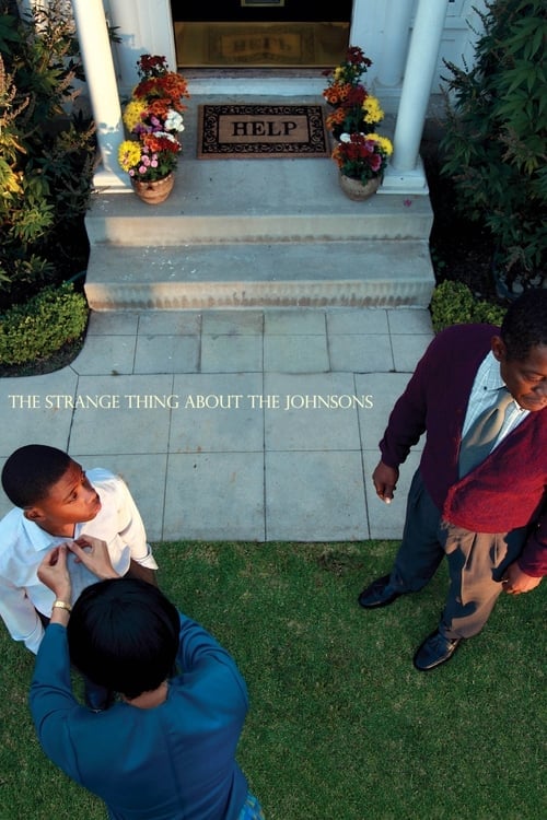 The Strange Thing About the Johnsons - Cover