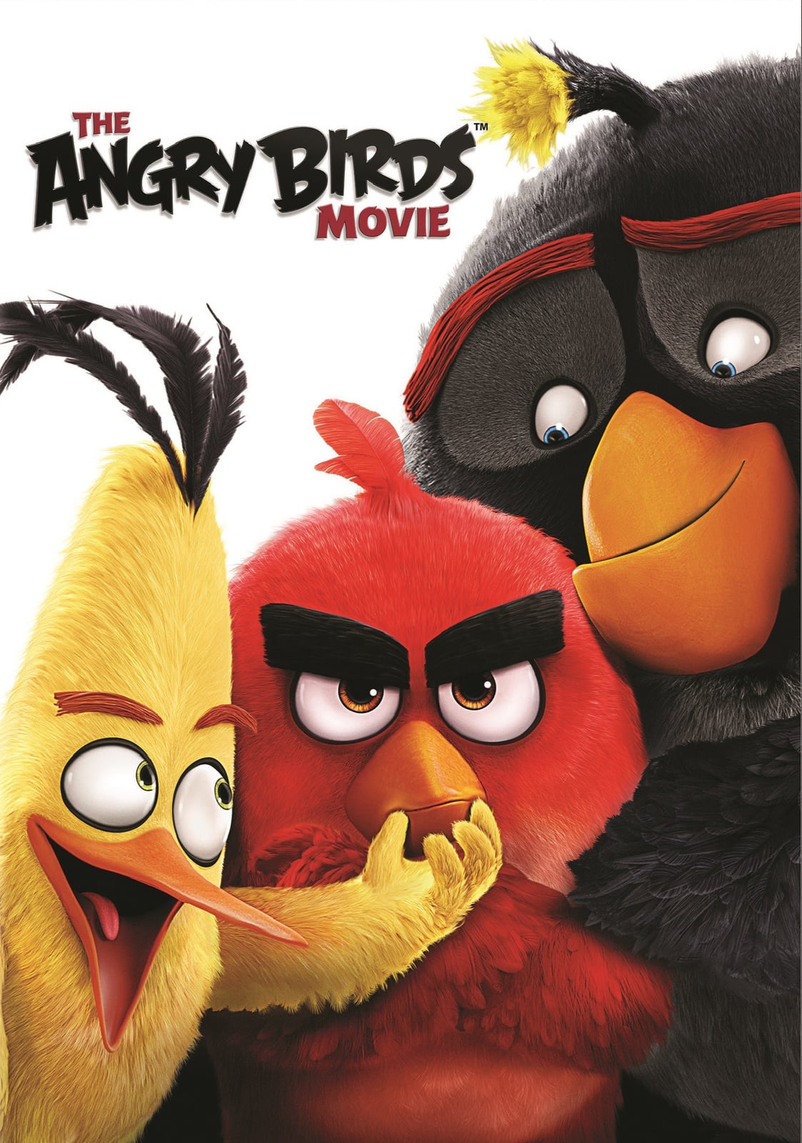 The Angry Birds Movie - Cover