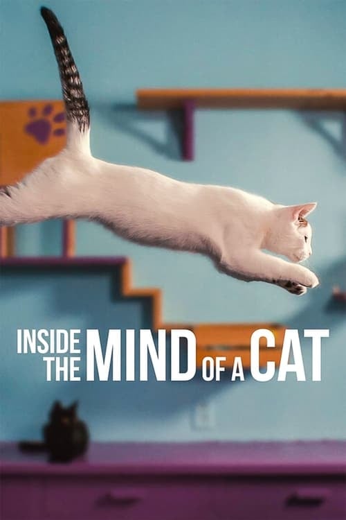 Inside the Mind of a Cat - Cover