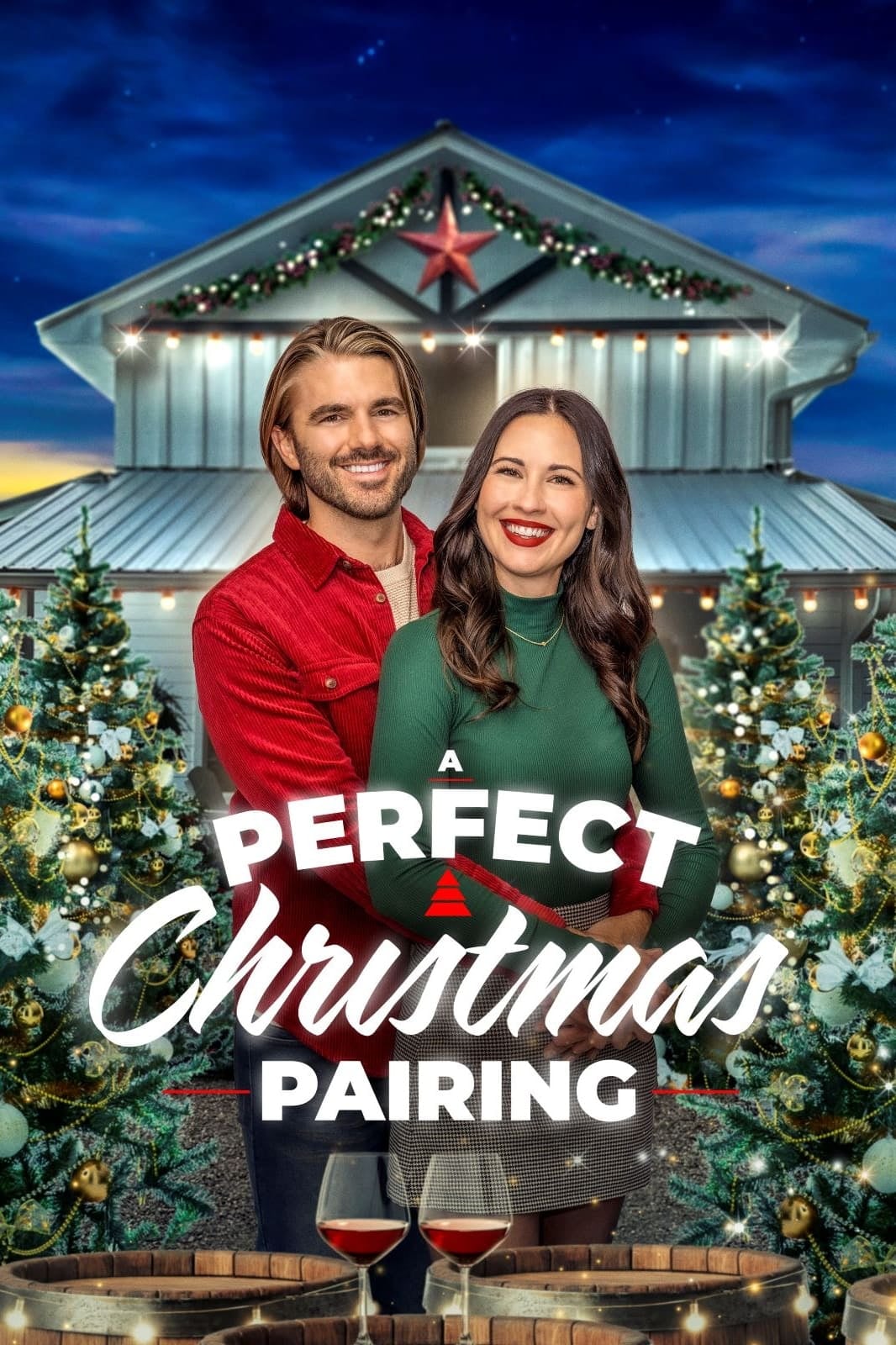 A Perfect Christmas Pairing - Cover