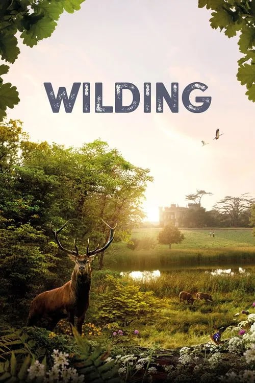 Wilding - Cover