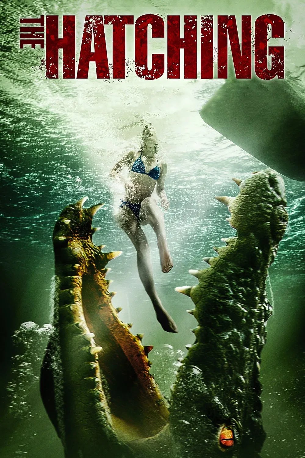 The Hatching - Cover