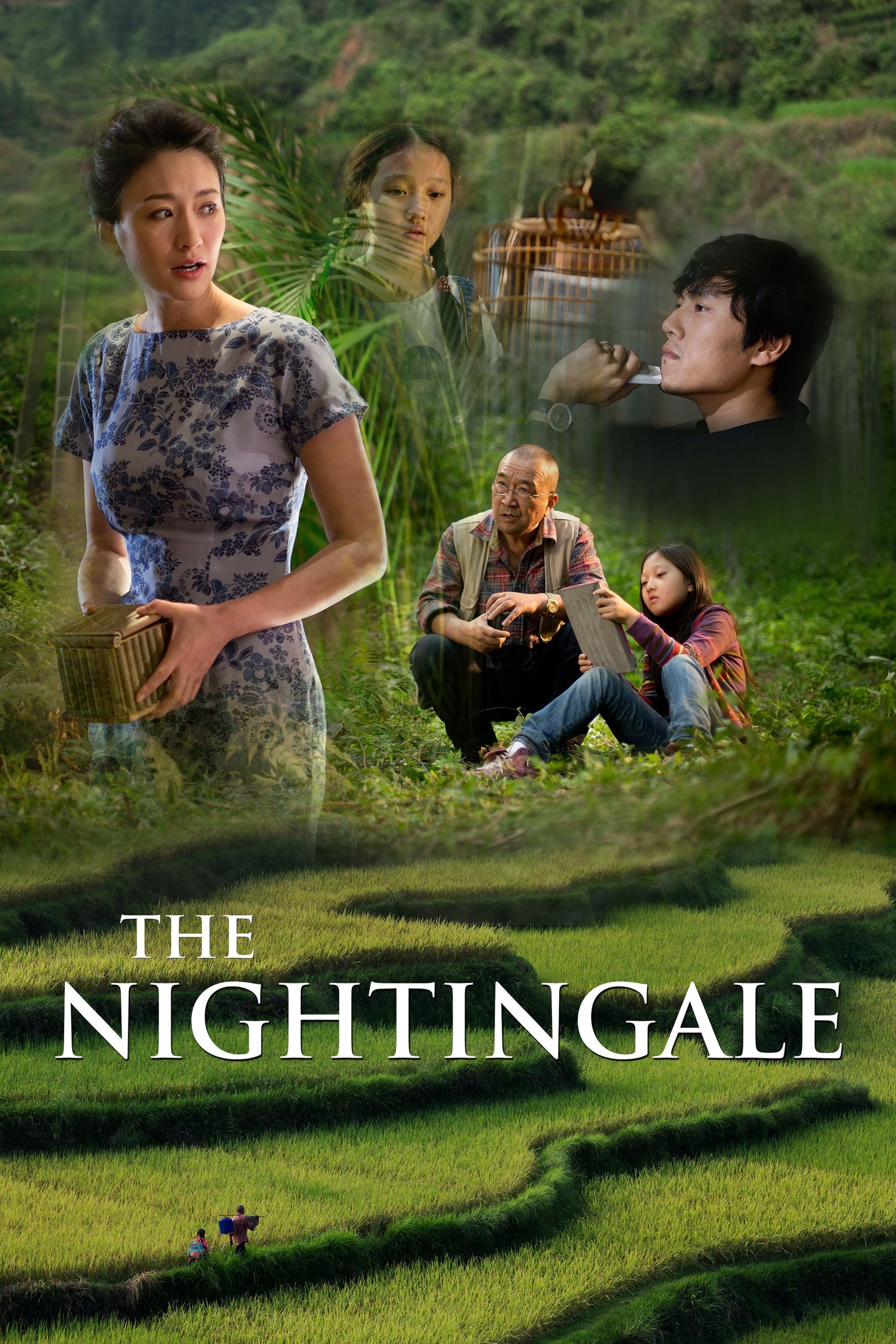 The Nightingale - Cover