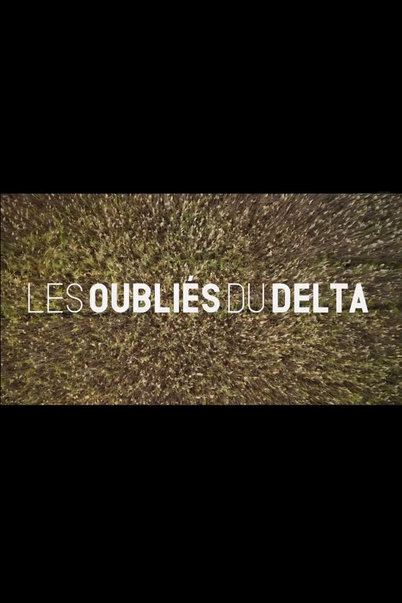 Les oubliés du Delta - Cover