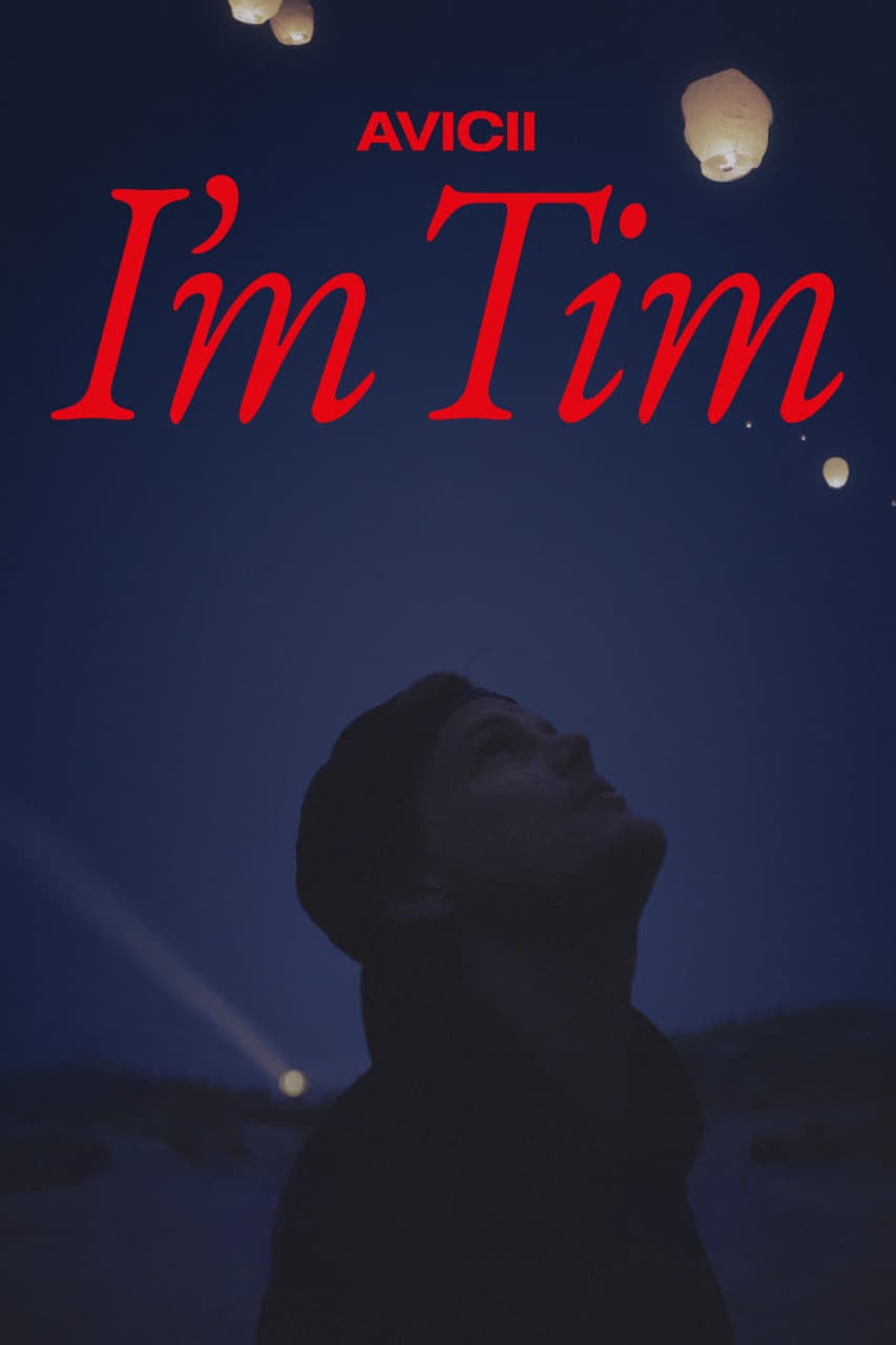Avicii - I'm Tim - Cover