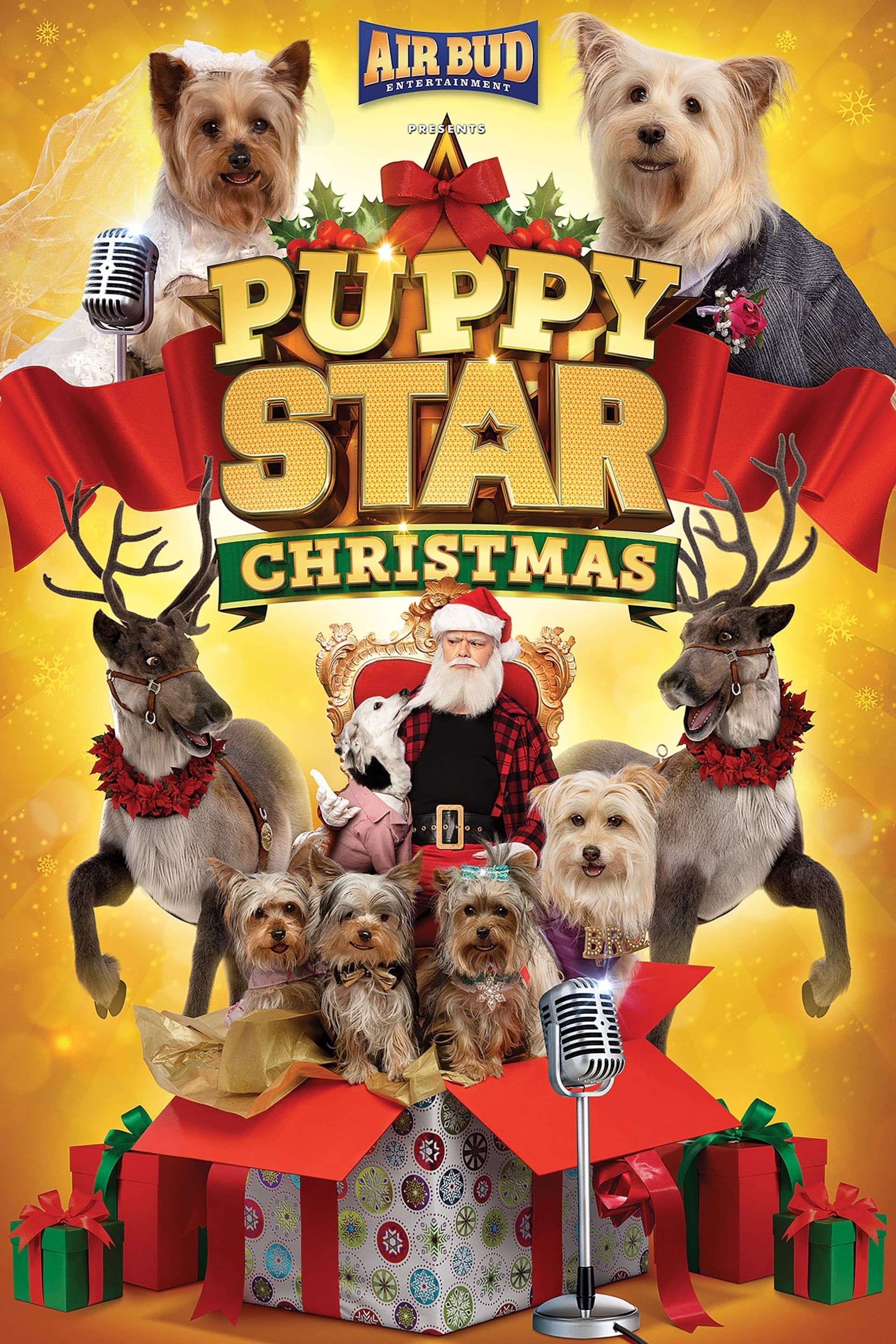 Puppy Star Christmas - Cover