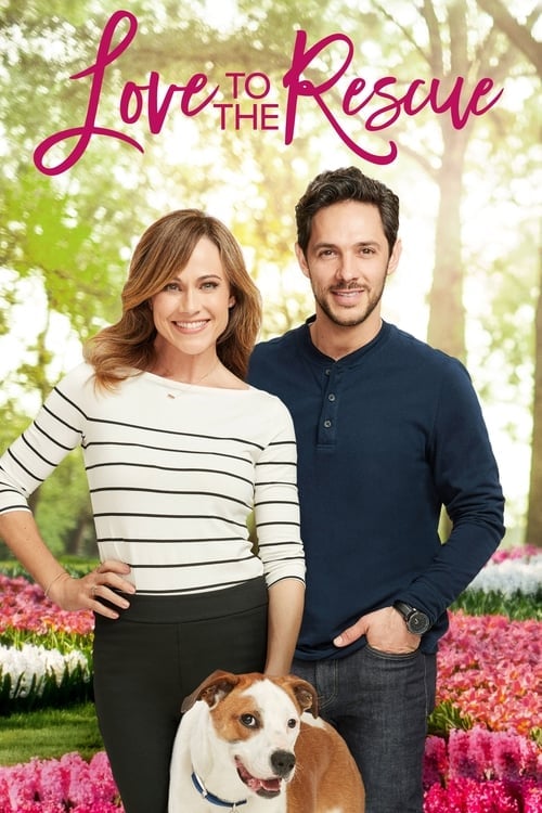 Love to the Rescue - Cover