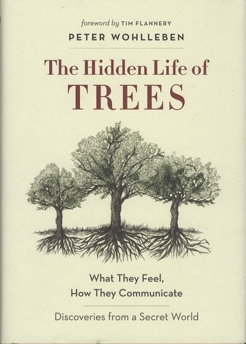 The Hidden Life of Trees