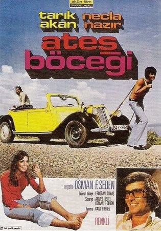 Ates Böcegi